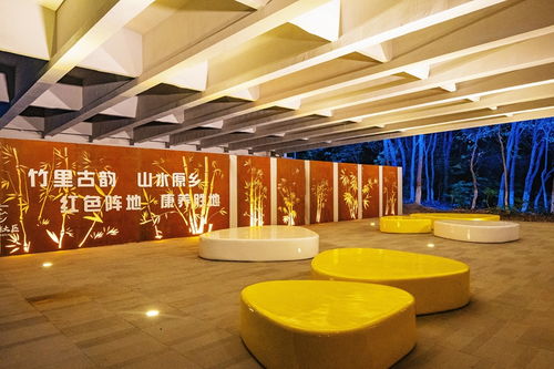 橋下灰空間巧變社區(qū)靚風(fēng)景，氛圍投影燈點(diǎn)亮生活新美學(xué)