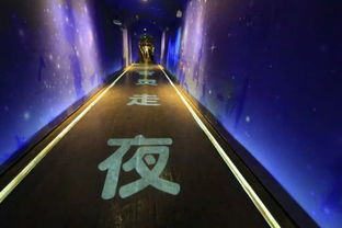時(shí)光隧道里的光影交響 寶成鐵路文化體驗(yàn)館的氛圍投影燈